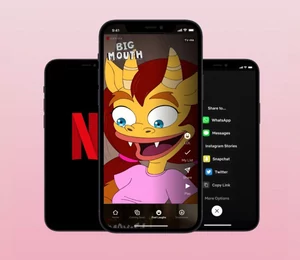 Netflix lance une section